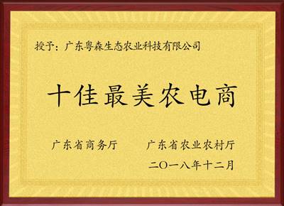 十佳最美農電商